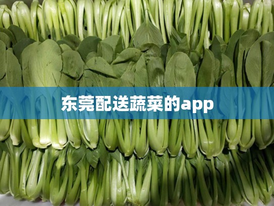 东莞配送蔬菜的app