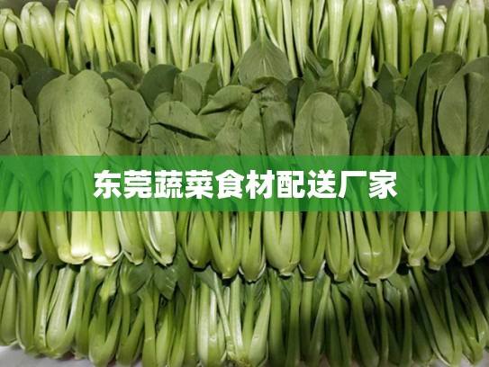 东莞蔬菜食材配送厂家