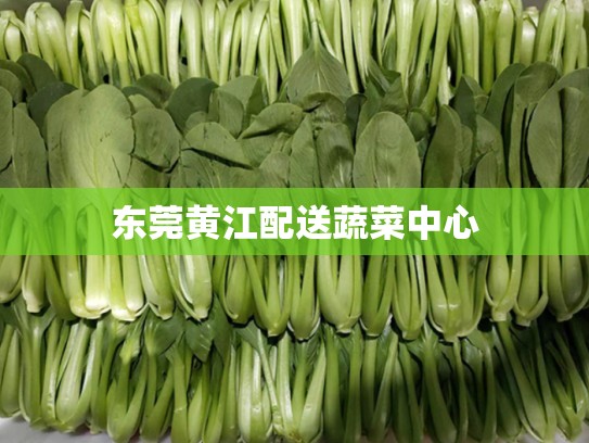 东莞黄江配送蔬菜中心