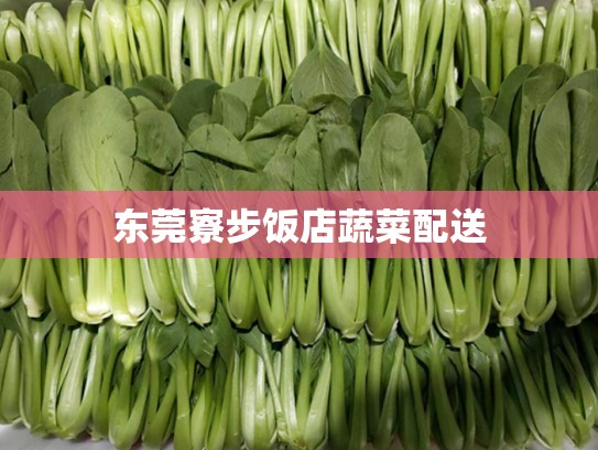 东莞寮步饭店蔬菜配送