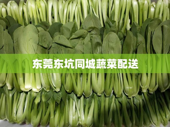 东莞东坑同城蔬菜配送