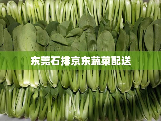 东莞石排京东蔬菜配送