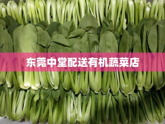 东莞中堂配送有机蔬菜店