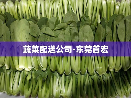 蔬菜配送公司-东莞首宏