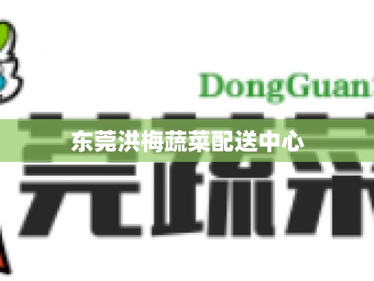 东莞洪梅蔬菜配送中心