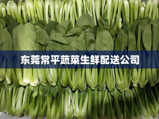 东莞常平蔬菜生鲜配送公司