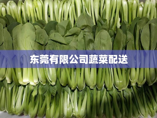 东莞有限公司蔬菜配送