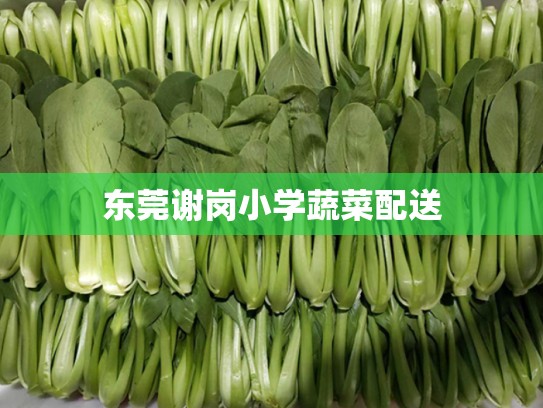 东莞谢岗小学蔬菜配送