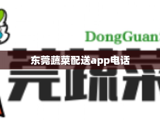 东莞蔬菜配送app电话