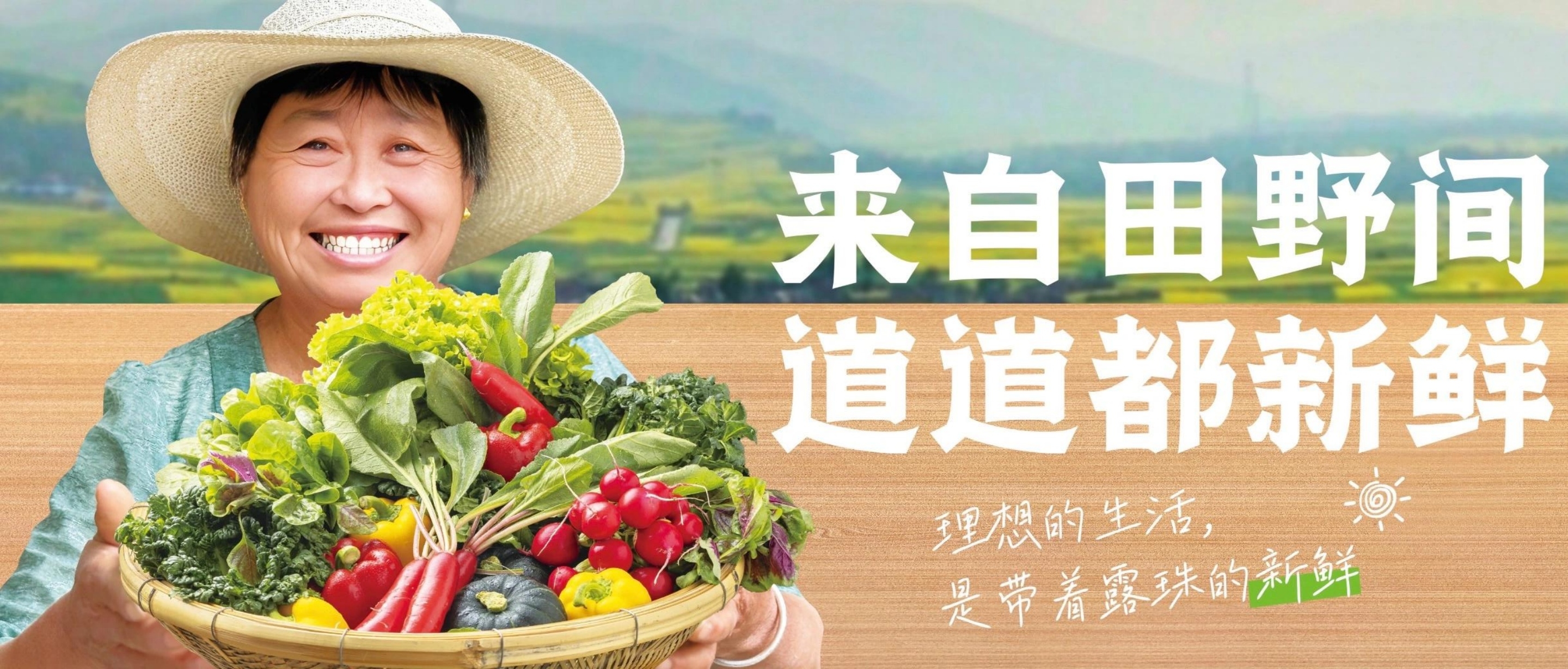 东莞蔬菜配送_东莞食堂承包_专业食材供应与餐饮管理服务